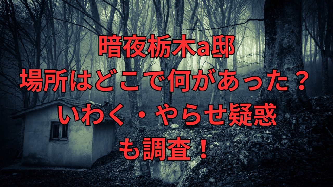 暗夜栃木a邸・場所はどこで何があった？いわく・やらせ疑惑も調査！